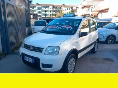Usata Fiat Panda 60 CV (44 kW) 2009 Other Utilitaria