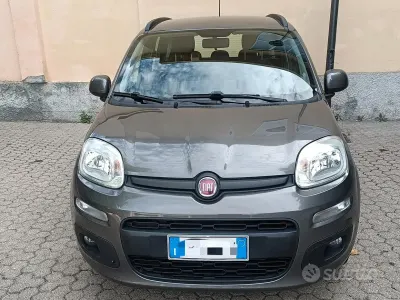 Usata Fiat Panda Lounge 69 CV (50 kW) 2020 Grigio Utilitaria