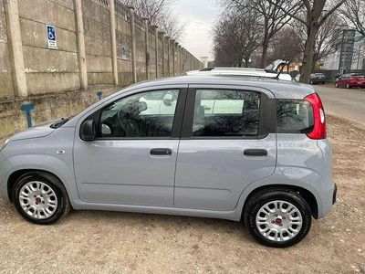 Usata Fiat Panda S 69 CV (50 kW) 2021 Grigio Utilitaria