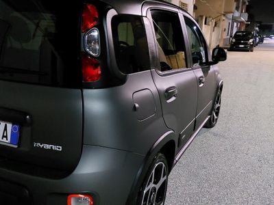 usata Fiat Panda Panda 1.0 FireFly S&S Hybrid Sport