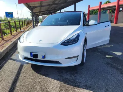 Occasion Tesla Model Y 152 kW (208 PK) 2022 SUV