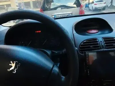 Usata Peugeot 206