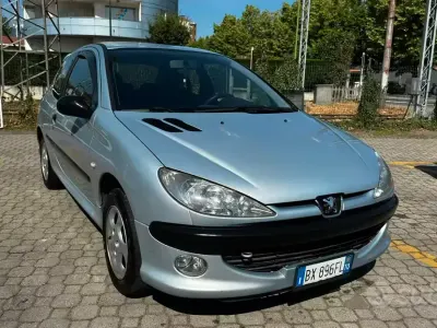 Usata Peugeot 206