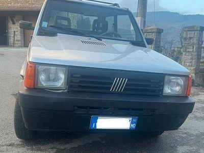 Usata Fiat Panda 4x4 Trekking 1999 Grigio Utilitaria