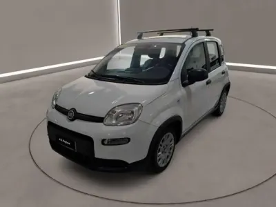 Usata Fiat Panda S 70 CV (51 kW) 2024 Bianco Utilitaria