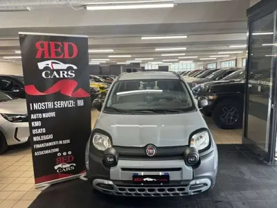 Usata Fiat Panda Cross Cross 71 CV (52 kW) 2021 Grigio Utilitaria
