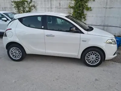 Usata Lancia Ypsilon 85 CV (62 kW) 2014 Bianco Utilitaria