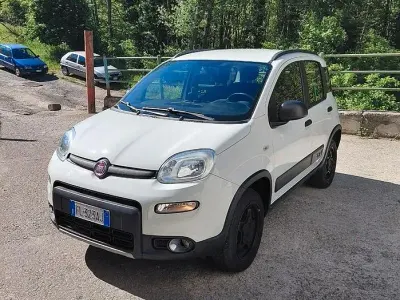 Usata Fiat Panda 85 CV (62 kW) 2017 Utilitaria