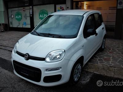 Usata Fiat Panda Easy 69 CV (50 kW) 2019 Bianco Berlina