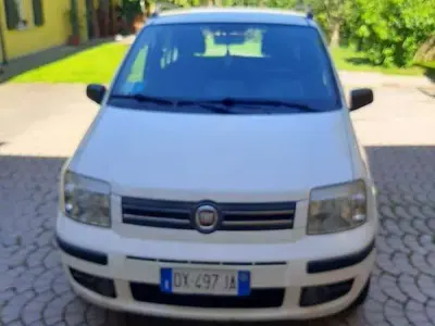 Usata Fiat Panda Dynamic 60 CV (44 kW) 2009 Bianco Utilitaria