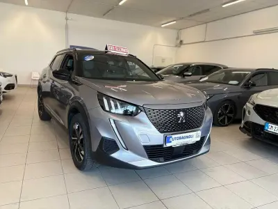 Usata Peugeot e-2008