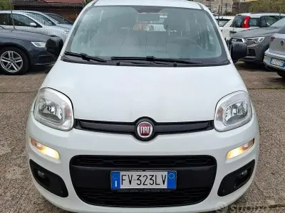 Usata Fiat Panda 69 CV (50 kW) 2019 Bianco Utilitaria