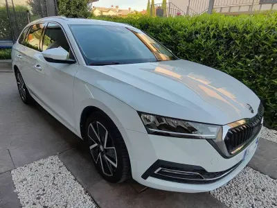 Usata Skoda Octavia