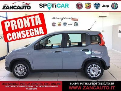 Usata Fiat Panda S 70 CV (51 kW) 2022 Grigio Berlina