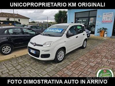 Usata Fiat Panda Easy 69 CV (50 kW) 2018 Bianco Utilitaria