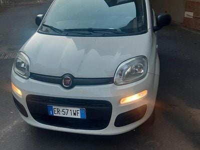 Usata Fiat Panda 70 CV (51 kW) 2013 Bianco Utilitaria