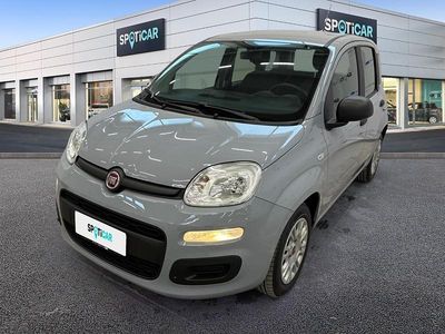 Usata Fiat Panda S 70 CV (51 kW) 2022 Grigio Utilitaria