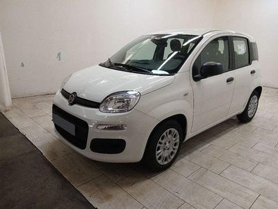 Nuova Fiat Panda Icon 69 CV (50 kW) 2025 Bianco Utilitaria
