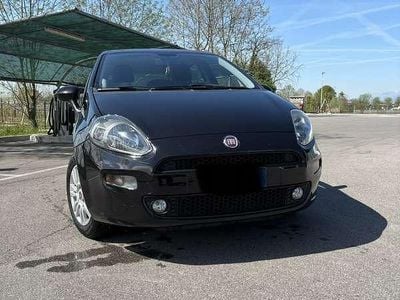 Usata Fiat Punto Lounge 69 CV (50 kW) 2016 Utilitaria
