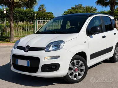 Usata Fiat Panda Young 85 CV (62 kW) 2014 Bianco Utilitaria