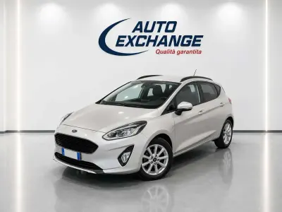 Usata Ford Fiesta Active 86 CV (63 kW) 2019 Grigio Utilitaria