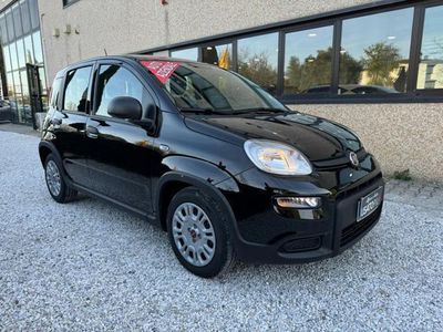 usata Fiat Panda 1.0 FireFly Hybrid 70cv MT6 S&S - OK Neopatentati