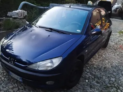Usata Peugeot 206 68 CV (50 kW) 2002 Berlina