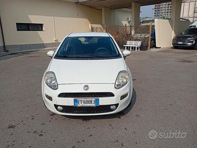 Usata Fiat Punto 90 CV (66 kW) 2014 Bianco Utilitaria