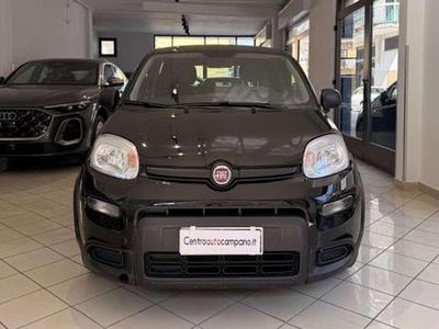 Usata Fiat Panda Sport 69 CV (50 kW) 2024 Nero Utilitaria