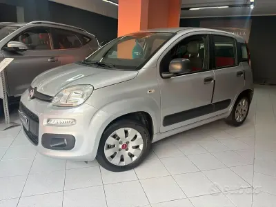 Usata Fiat Panda Easy 69 CV (50 kW) 2015 Grigio Utilitaria
