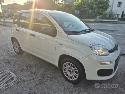 Usata Fiat Panda Easy 69 CV (50 kW) 2020 Bianco Utilitaria