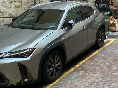 Usata Lexus UX 250h F Sport 186 CV (136 kW) 2019 Argento SUV