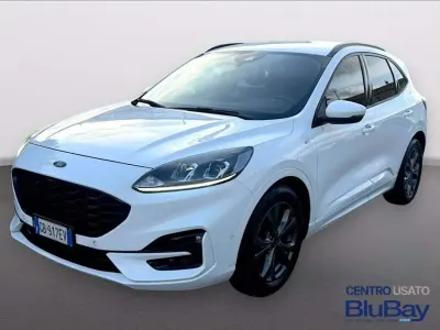 Usata Ford Kuga ST-Line 120 CV (88 kW) 2020 Frozen white SUV