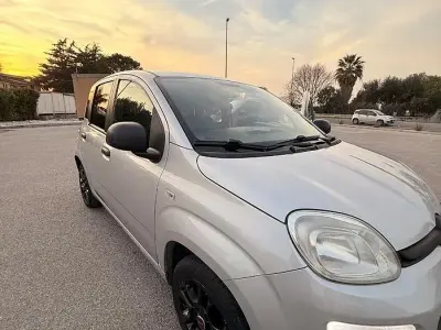 Usata Fiat Panda 105 CV (77 kW) 2013 Bianco Utilitaria