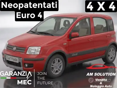 Usata Fiat Panda 4x4