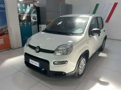 Usata Fiat Panda S 69 CV (50 kW) 2023 Bianco Utilitaria
