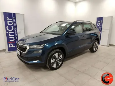 Usata Skoda Karoq