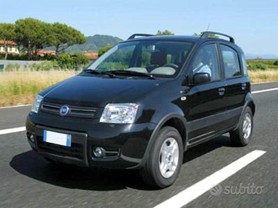 Usata Fiat Panda 4x4 Climbing 2009 Grigio Utilitaria