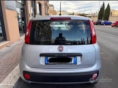Usata Fiat Panda 69 CV (50 kW) 2020 Grigio Utilitaria