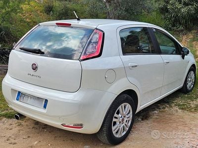 Usata Fiat Punto 75 CV (55 kW) 2013 Bianco Utilitaria