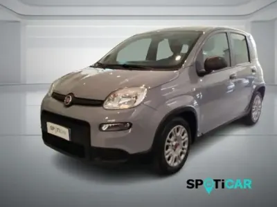 Usata Fiat Panda S 70 CV (51 kW) 2022 Grigio Utilitaria