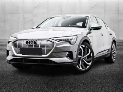Usata Audi e-tron Business 158 kW (215 CV) 2022 Grigio SUV