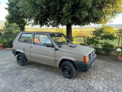 Usata Fiat Panda 1988 Utilitaria