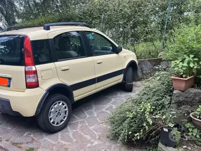 Usata Fiat Panda 4x4