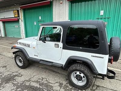 Usata Jeep Wrangler 105 CV (77 kW) 1992 Bianco SUV