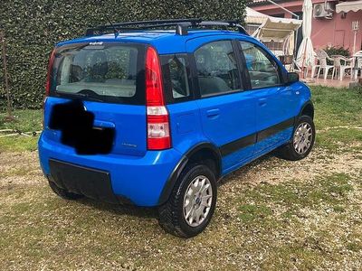 Usata Fiat Panda 4x4 2005 Utilitaria