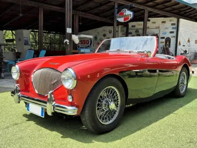 Usata Austin Healey 100 89 CV (65 kW) 1954 Rosso Cabrio