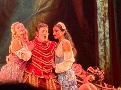 Occasion Mini Countryman 2011 Marron SUV