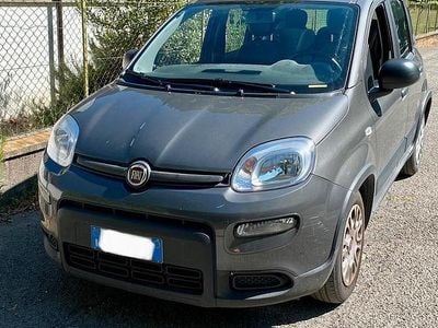 Usata Fiat Panda City Life 70 CV (51 kW) 2022 Grigio Utilitaria