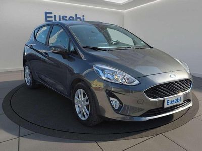 Usata Ford Fiesta 86 CV (63 kW) 2019 Magnetic grey Utilitaria
